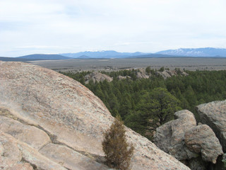 rocks in the forest