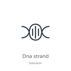 Dna strand icon. Thin linear dna strand outline icon isolated on white background from education collection. Line vector sign, symbol for web and mobile