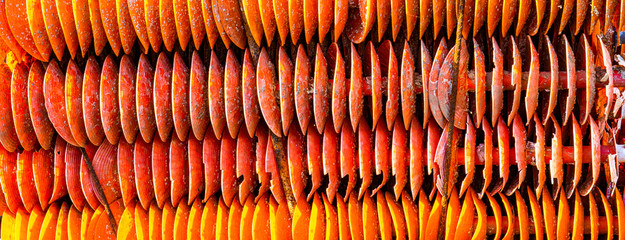 support naissaint huitre 