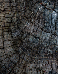 wooden slab, wooden pattern and background
