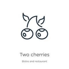 Two cherries icon. Thin linear two cherries outline icon isolated on white background from bistro and restaurant collection. Line vector sign, symbol for web and mobile