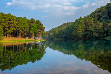 Fototapeta premium Thailand, Camping, Tent, Woodland, Forest