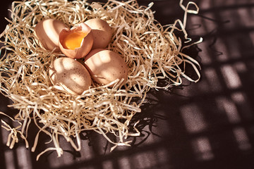composition of chicken eggs in a nest of hay