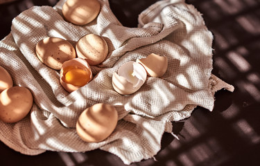 easter composition of chicken eggs