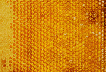 Honeycombs with honey.