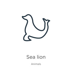 Sea lion icon. Thin linear sea lion outline icon isolated on white background from animals collection. Line vector sign, symbol for web and mobile
