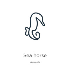 Sea horse icon. Thin linear sea horse outline icon isolated on white background from animals collection. Line vector sign, symbol for web and mobile