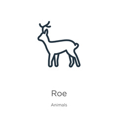 Roe icon. Thin linear roe outline icon isolated on white background from animals collection. Line vector sign, symbol for web and mobile