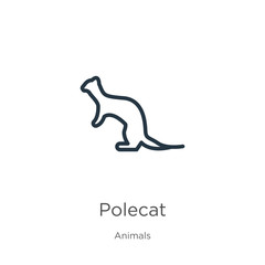 Polecat icon. Thin linear polecat outline icon isolated on white background from animals collection. Line vector sign, symbol for web and mobile