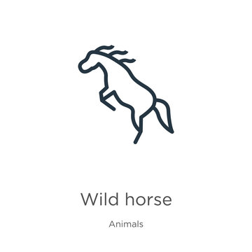 Wild horse icon. Thin linear wild horse outline icon isolated on white background from animals collection. Line vector sign, symbol for web and mobile
