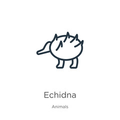 Echidna icon. Thin linear echidna outline icon isolated on white background from animals collection. Line vector sign, symbol for web and mobile