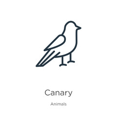 Canary icon. Thin linear canary outline icon isolated on white background from animals collection. Line vector sign, symbol for web and mobile