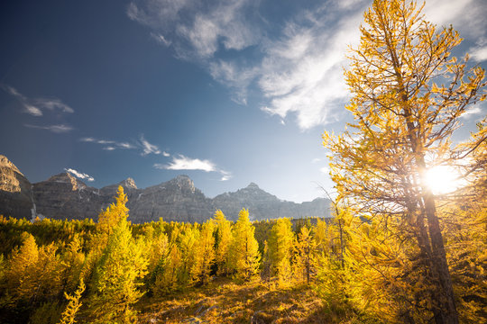 Larch Valley Hike, Autumn Fall Mountain Landscape, Moraine Lake, Lake Louise, Banff National Park, Canadian Rockies