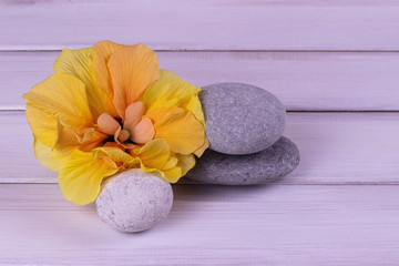 Hibiscus flower stones on a white wooden background. Copy space. Place for inscription. Festive background.