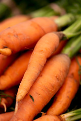 Orange Carrots