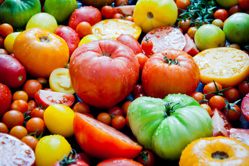 Fresh organic red, green and yellow tomatoes