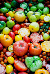 Fresh organic red, green and yellow tomatoes