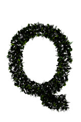 Letter Q made of leaf isolated on white.made in 3d
