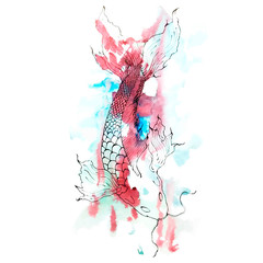 Obraz premium Sketch of carp and watercolor stains