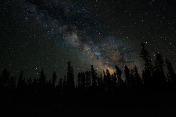 Fototapeta premium milky way