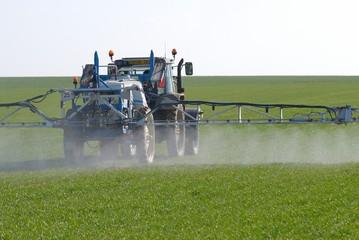 Traitement phytosanitaire. Application d'un racourcisseur sur champ de blé