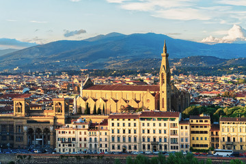 Fototapeta na wymiar Cityscape with Santa Croce Basilica Florence