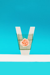 Letter objects with flowers, roses and decorations on a blue background