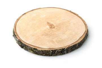 Birch tree trunk cross section