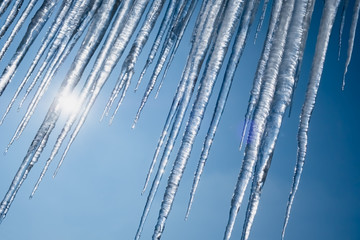 Transparent icicles hanging down from roof on clear blue sky background. Frost winter season. Dangerous icicles concept.