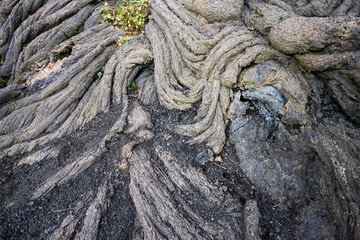 Lava string formation on Cognoli di Ottaviano on Mount Somma, beautiful hike in Vesuvius National Park.  .Campania, Naples,  Italy