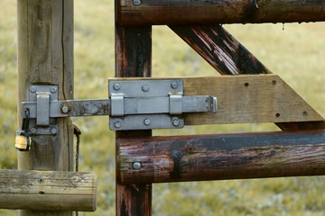 Schloss und Riegel am Tor einer Koppel