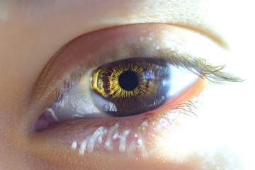 Close-up of an eyeball, pupil and iris. Macro shot of a human eye.