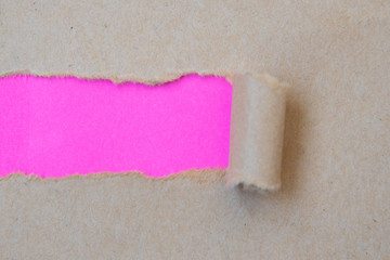 Obraz premium Ripped paper with curled edges. concept image