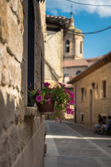 Obraz na płótnie Canvas A flower pot hanging on a window with a effect of a soft out of focus background, Santo DOmingo de Silos, Burgos, Spain