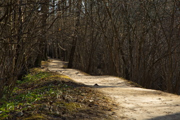 Cycling track in spring Moscow park, Russia.