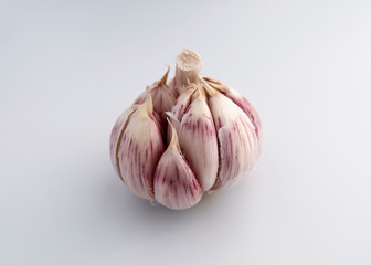 White and purple garlic head on a white background
