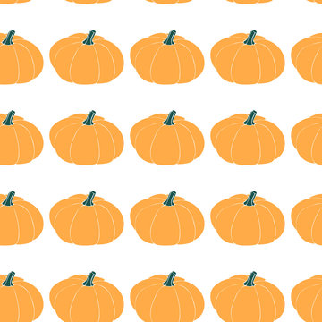 Seamless pattern with pumpkins. Autumn print with harvest