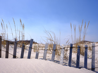 New Jersey Island Beach state park attempts to protect the massive and endangered sand dunes from...