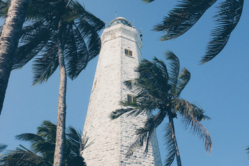Lighthouse at Fort Galle Behind Palm Trees