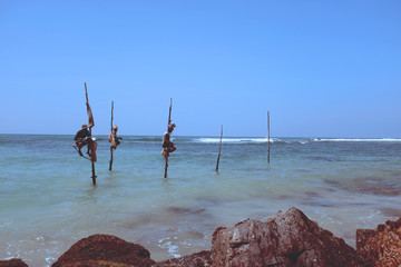 Pole fishermen in the ocean Sri Lanka