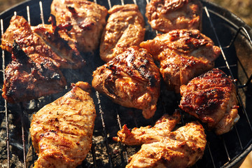 Chiken barbeque on a grill roasting open fire spring summer time