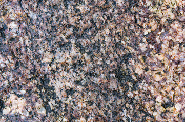 Sea stone texture. Panel texture. Background fill. Natural stone background.