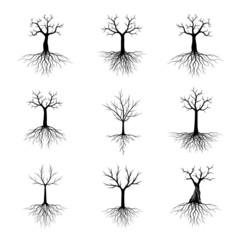 Set of Black shape Trees with Roots. Vector Illustration. Plant and Garden.