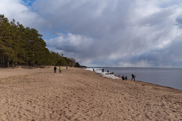 People walking on shore of Finland Gulf in early spring, Komarovo coast park , Russia