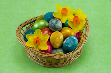 Fototapeta na wymiar Easter, colored painted eggs in a wicker basket with moss, daffodil