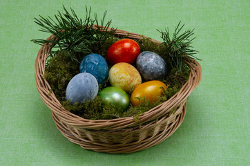 Easter, colored painted eggs in a wicker basket with moss