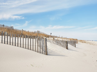 New Jersey Island Beach state park attempts to protect the massive and endangered sand dunes from...