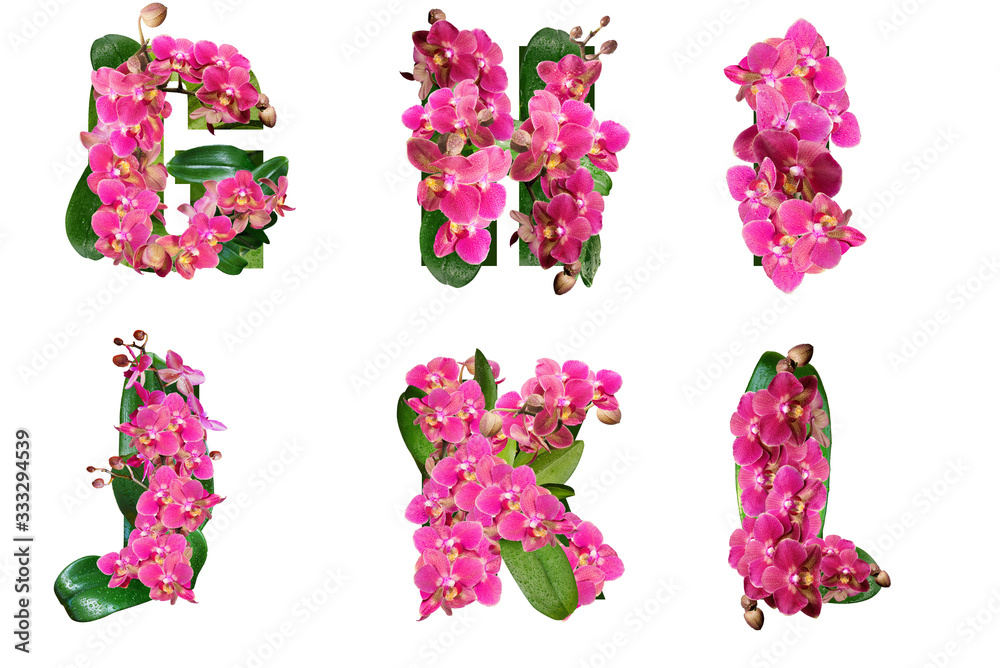 Wall mural design letters of the alphabet from flowers of orchids.