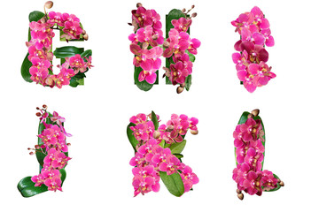 Design letters of the alphabet from flowers of orchids.