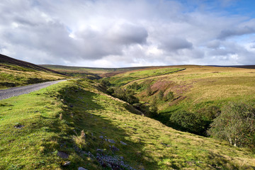 A dirt track leading up to the moors from Bolliehope towards Hawkwood burn and Pawlaw. UK.